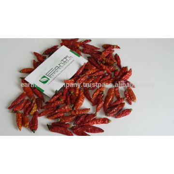 Peperoncino Chilli Exporter